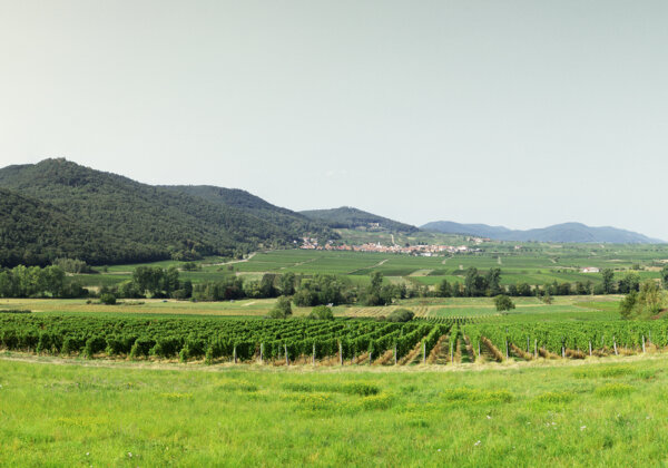 Zurkirchen Reisen Carreisen Elsass 02