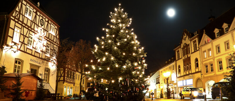 Zurkirchen Reisen Carreisen Stuttgart Header