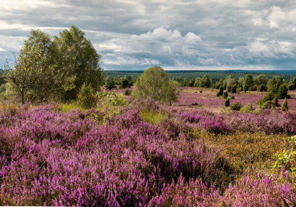 Zurkirchen Reisen Carreisen Luenebuerger Weide Veloreise 01