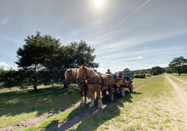 Zurkirchen Reisen Carreisen Luenebuerger Weide Wanderreise 01