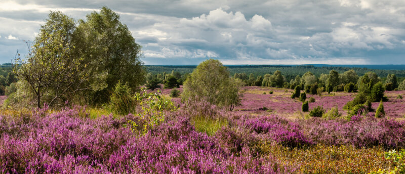 Zurkirchen Reisen Carreisen Luenebuerger Weide Veloreise Header