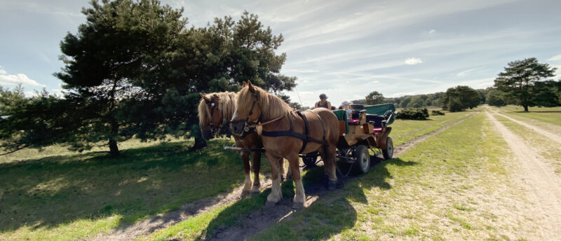 Zurkirchen Reisen Carreisen Luenebuerger Weide Wanderreise Header